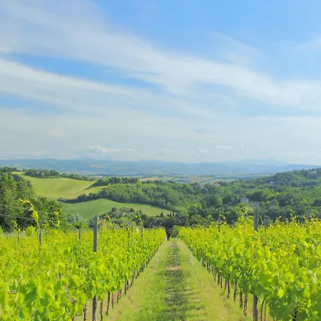 Hillside Comfort In Tavullia