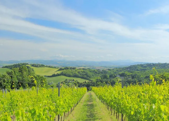 Hillside Comfort In Tavullia