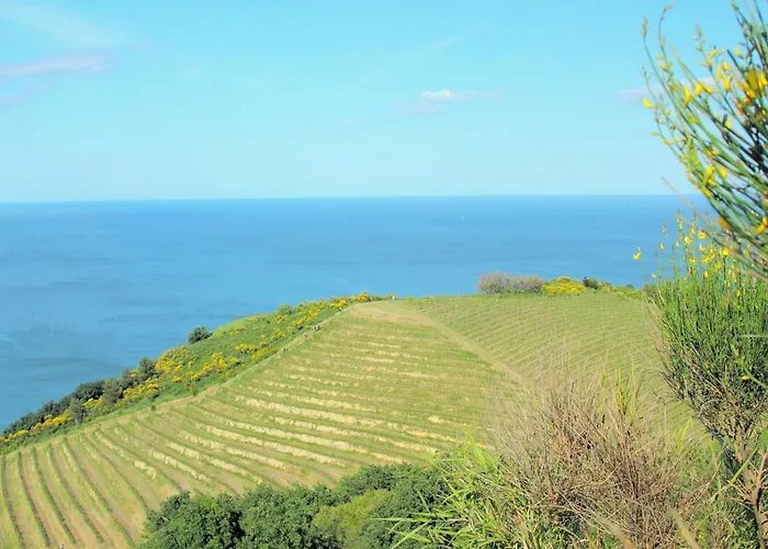 Appartamento Hillside Comfort In